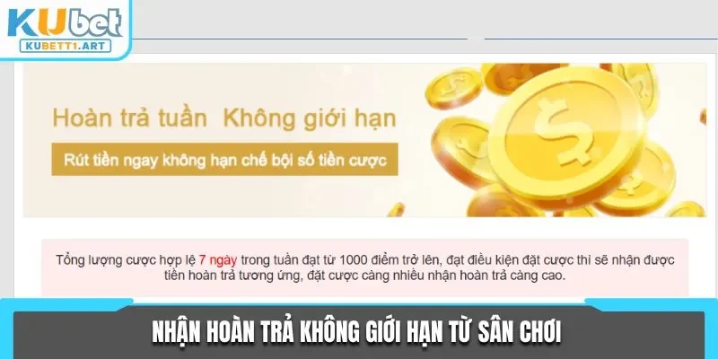Nhận hoàn trả không giới hạn từ sân chơi